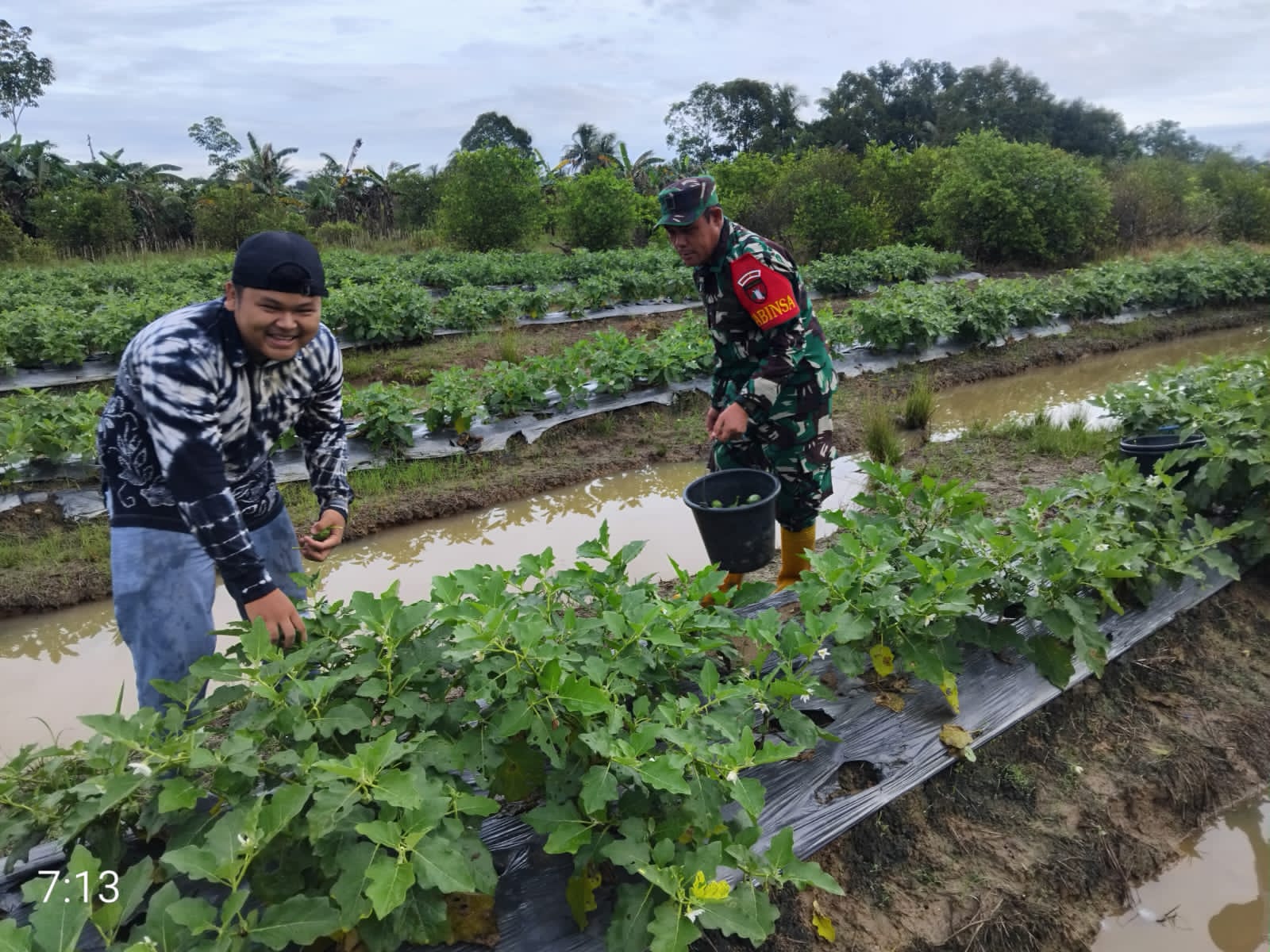 Babinsa Koramil 1002-04/LAS Aktif Dampingi Petani di Wilayah Binaan