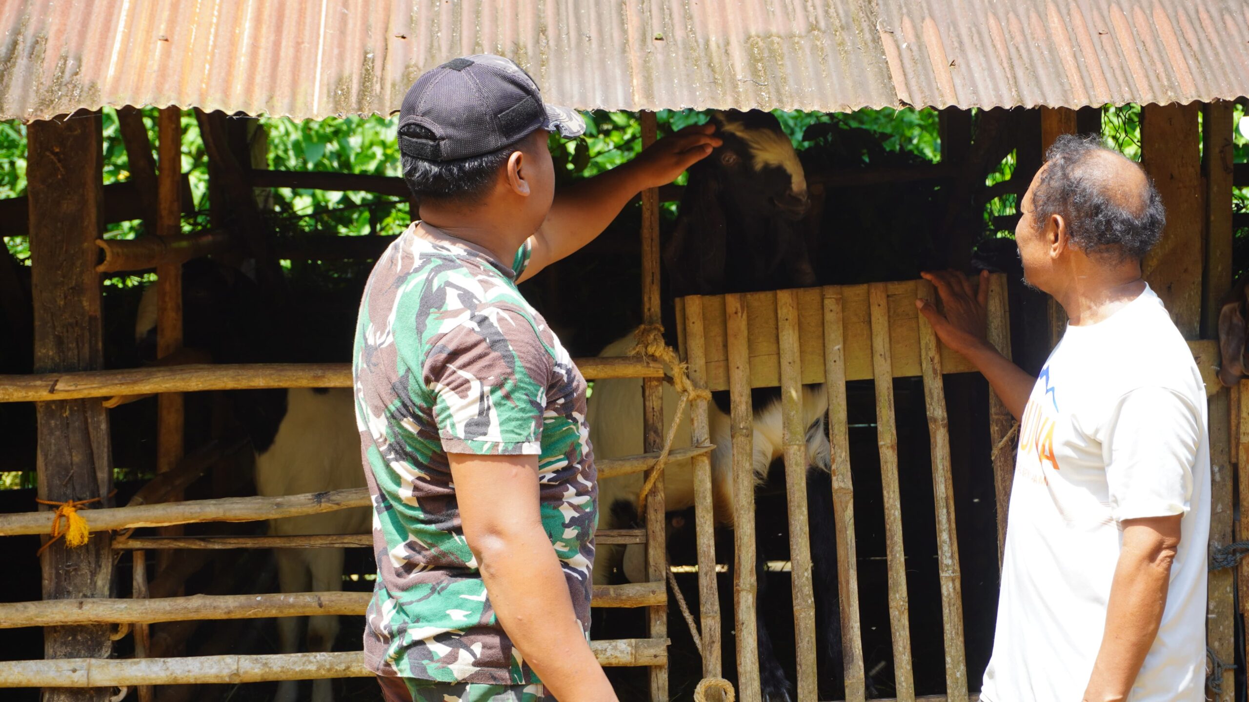 Satgas TMMD Reguler ke-127 Kodim 1015/Sampit Komsos Dengan Sutarman Peternak Kambing Desa Tri Buana 