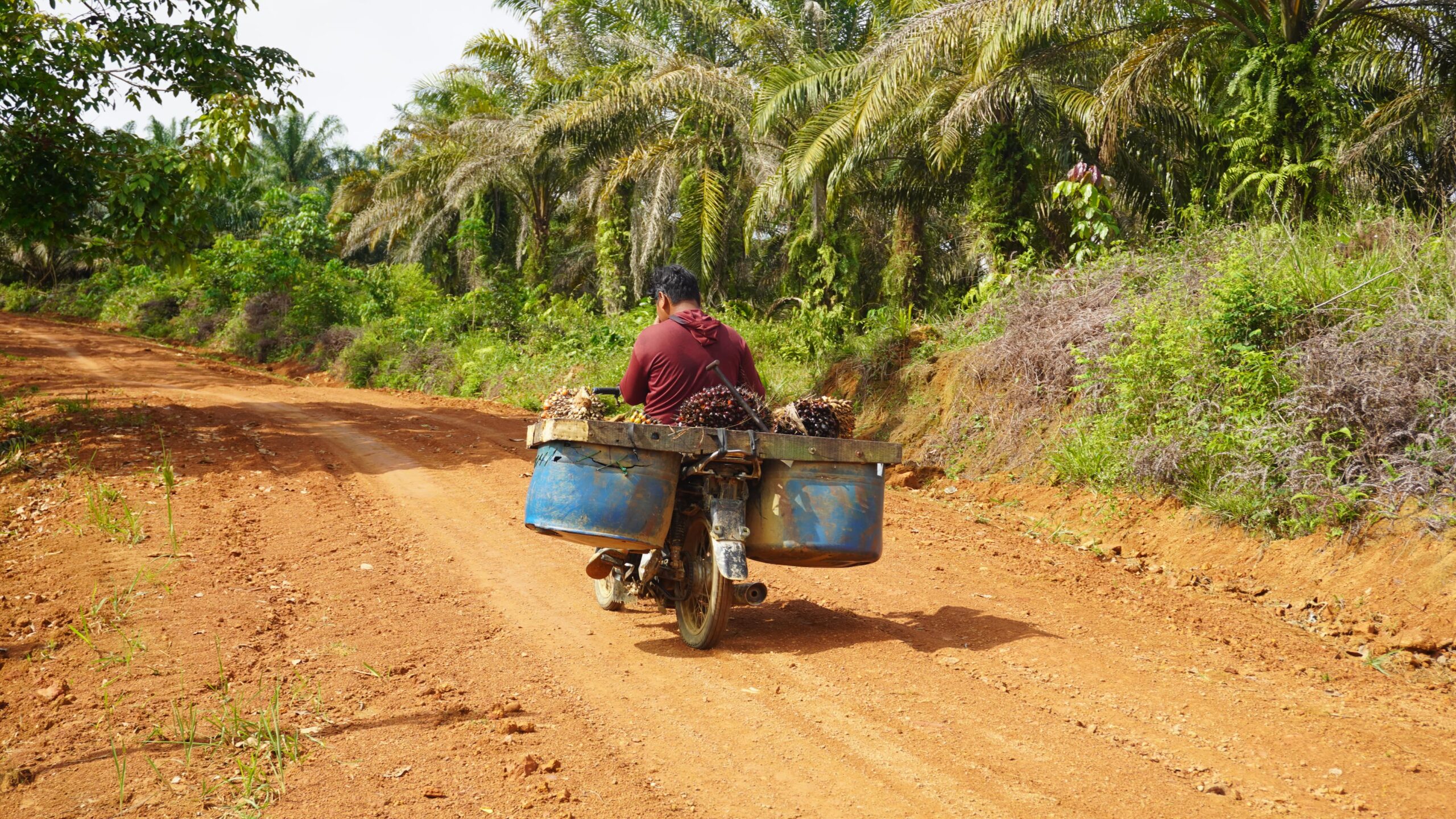 Jalan Baru Hasil Kerja Nyata Satgas TMMD Reguler ke-127 Kodim 1015/Sampit Membuat Warga Nyaman