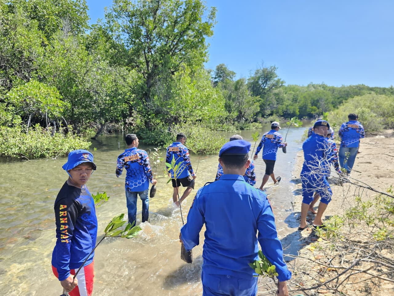 Sahabat Polairud NTB Beraksi: Tanam Mangrove dan Bersih Pantai di Poto Tano