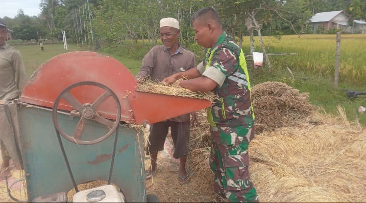Babinsa Koramil 09/Samatiga Bantu Petani Merontok Padi di Desa Leukeun