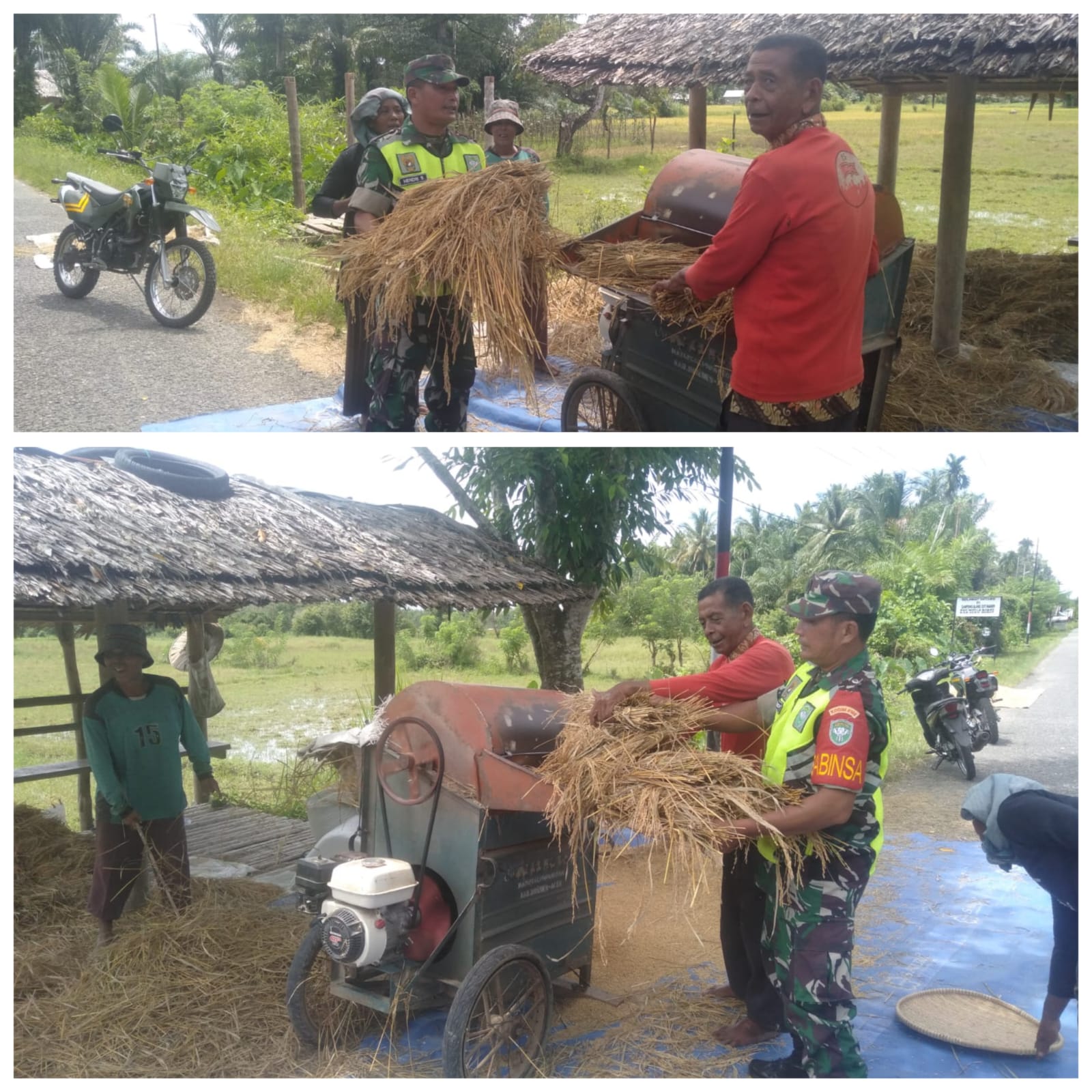 ‎Babinsa Woyla Barat Turun Tangan Bantu Petani, Percepat Perontokan Padi di Blang Luah