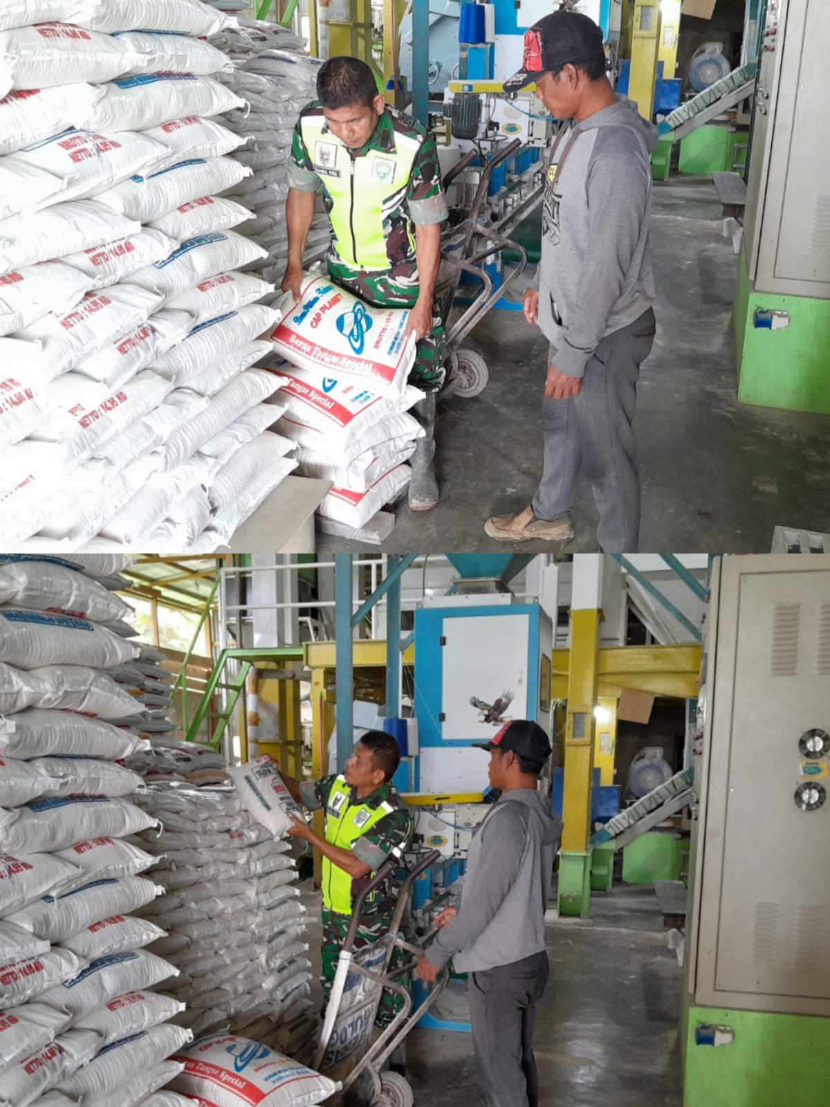 Jaga Ketahanan Pangan, Babinsa Koramil 03/Kaway XVI Cek Stok Beras di Kilang Padi Wilayah Binaan