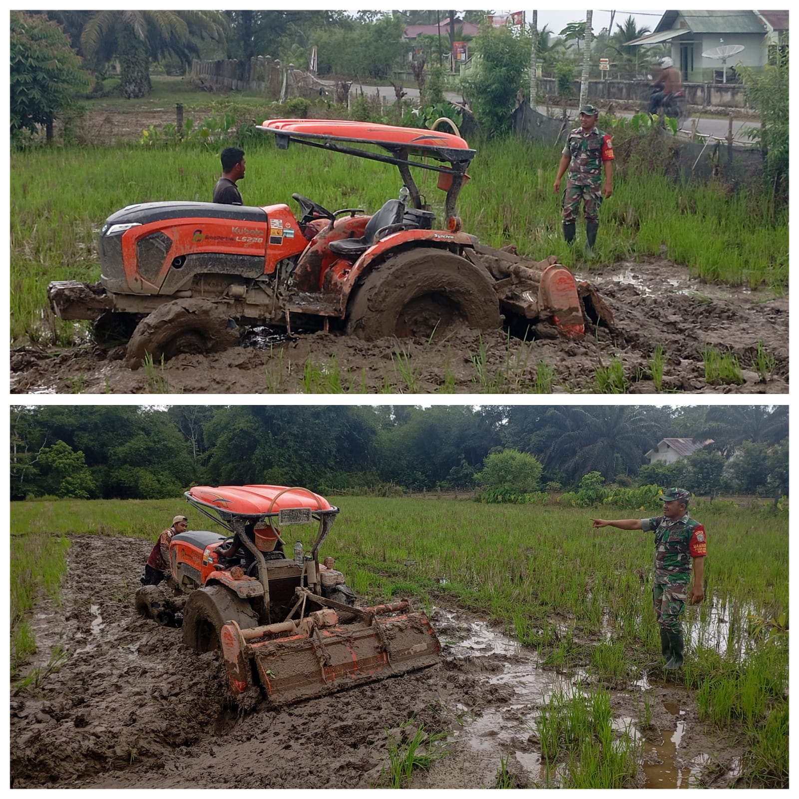 Percepat Masa Tanam, Babinsa Posramil 06 Bubon Mendampingi Petani Membajak Sawah