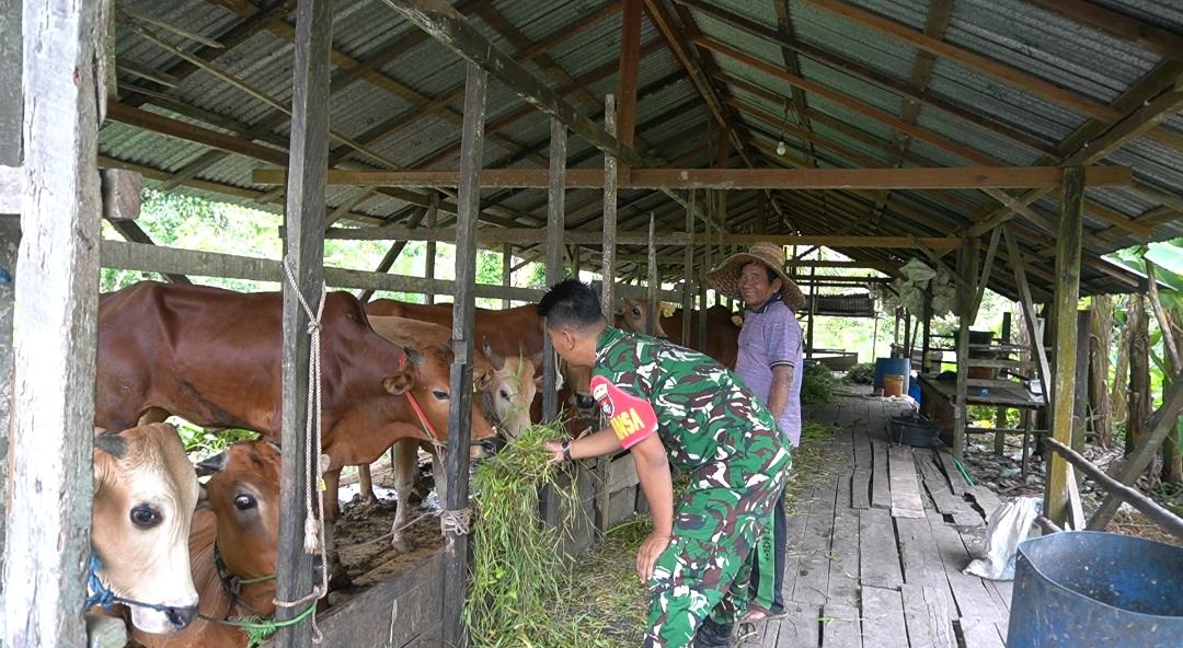 Kampung Pancasila Jadi Wadah Persatuan, Babinsa Kodim 1015-03/Mentawa Baru Ketapang Aktif Bangun Komunikasi dengan Warga
