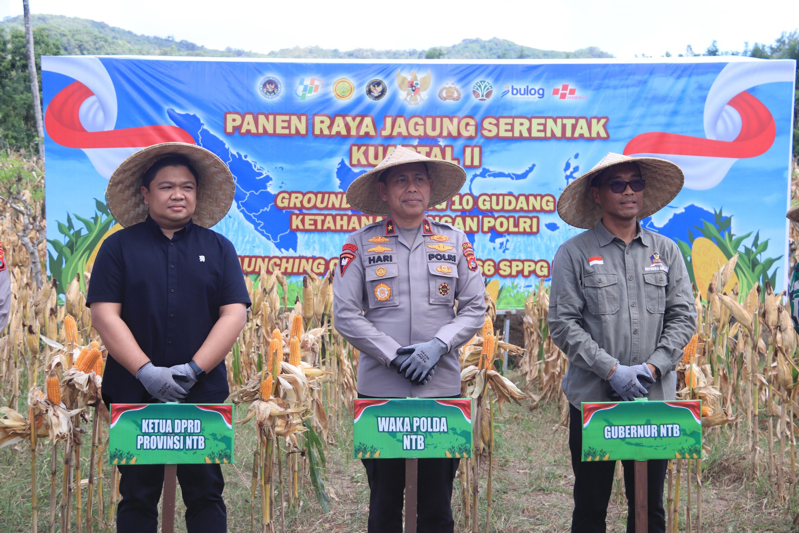Pimpin Panen Raya Jagung, Wakapolda NTB: Ini Dukungan Nyata Polri Sukseskan Program Pemerintah