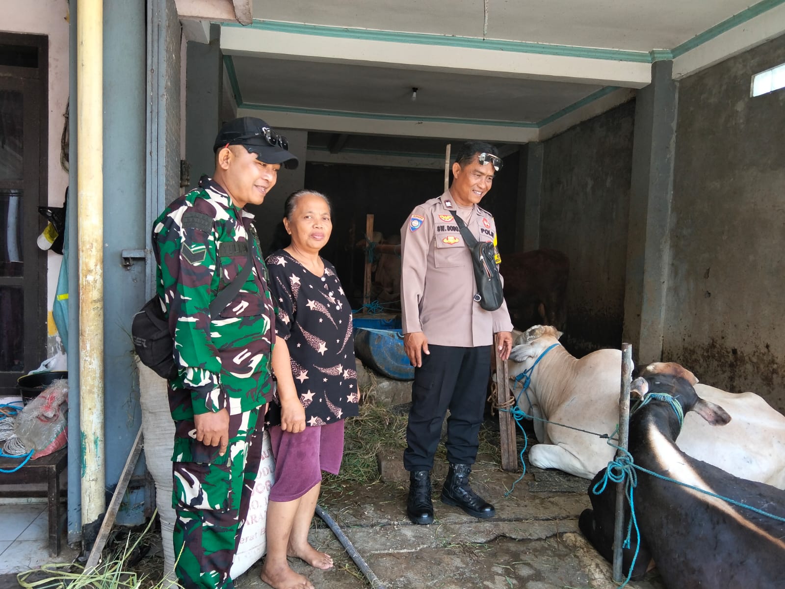 Jelang Hari Raya Idul Adha 1447 Hijriah, Babinsa Pajang Bersama Bhabinkamtibmas Lakukan Pengecekan Hewan Qurban