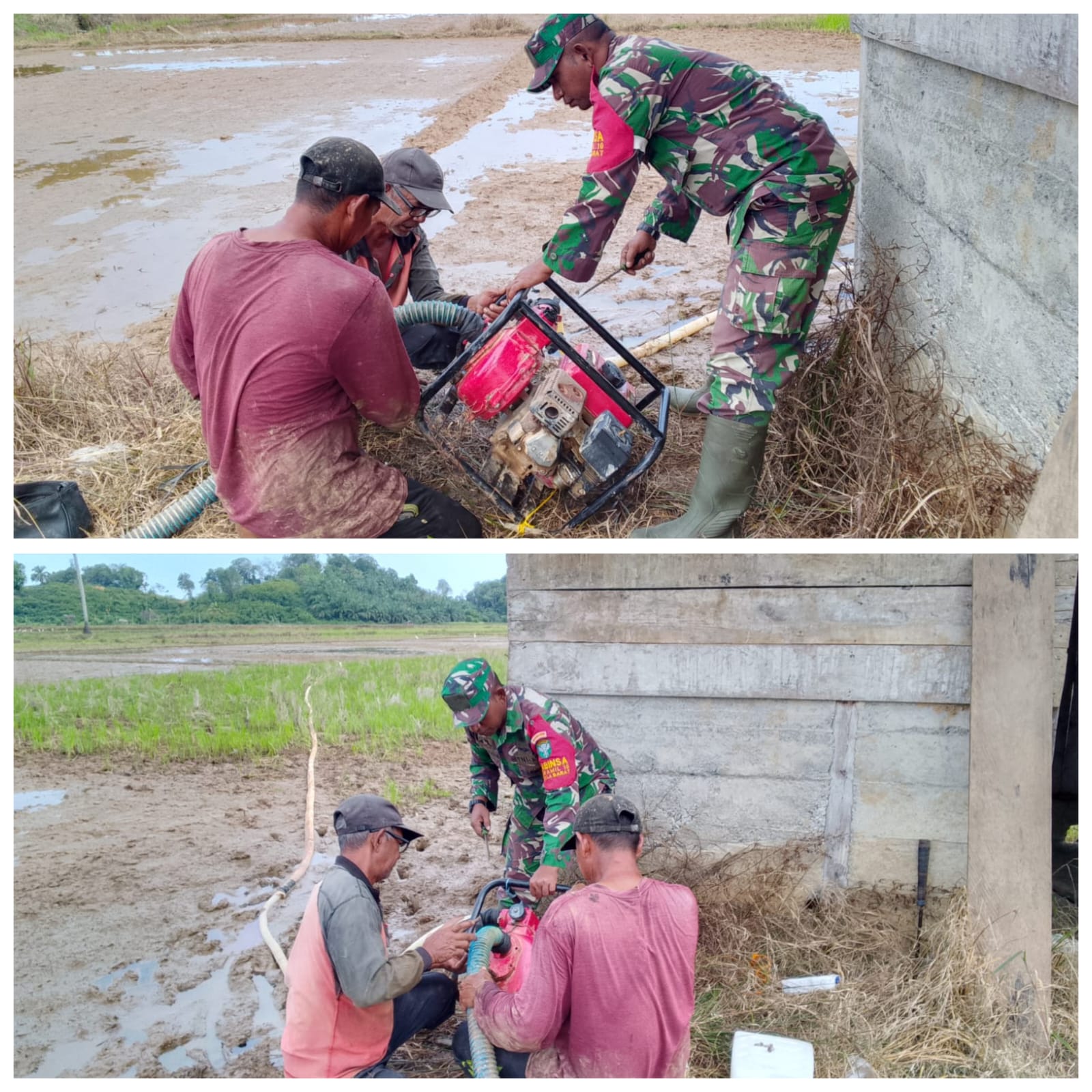 ‎‎‎Babinsa Woyla Barat Sigap Bantu Petani, Mesin Air Rusak Berhasil Diperbaiki Demi Kelancaran Olah Sawah