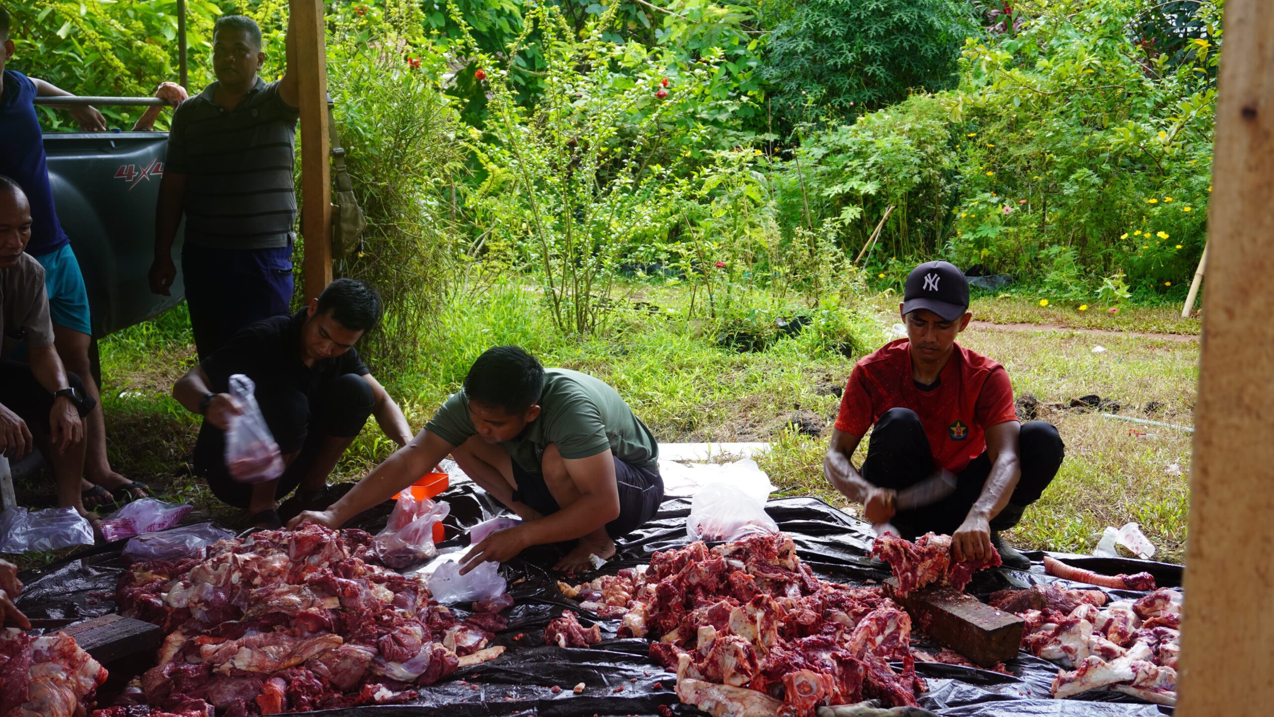 Rayakan Idul Adha 1447 H, Kodim 1015/Sampit Laksanakan Pemotongan Hewan Qurban