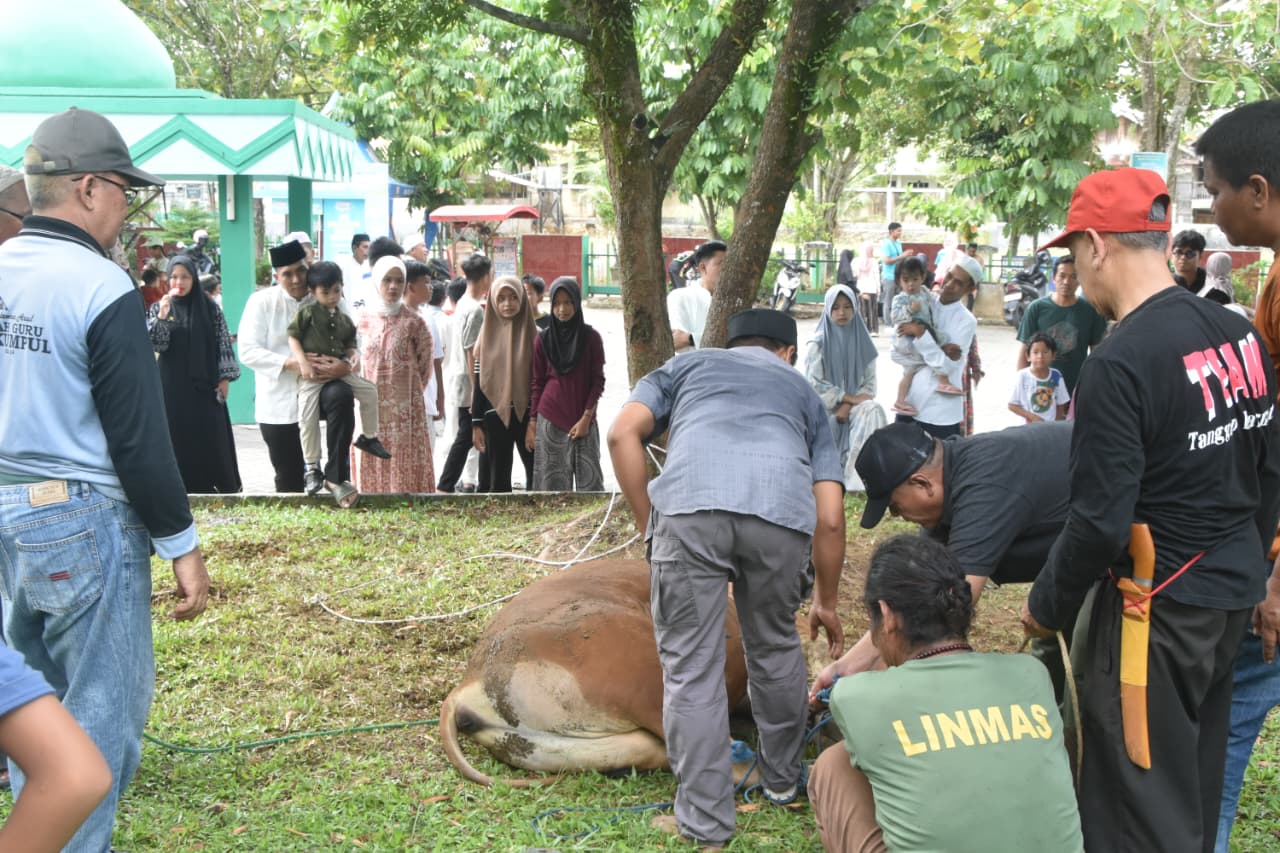 Idul Adha 1447 H, Dandim 1002/HST Salurkan Dua Sapi dan Dua Domba Kurban