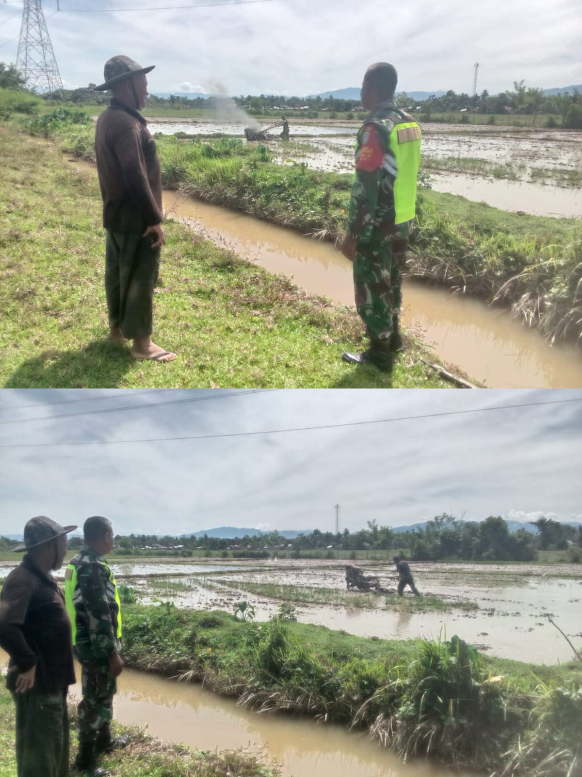 Babinsa Koramil 03 Kaway XVI Pantau Pengolahan Sawah Petani di Desa Marek