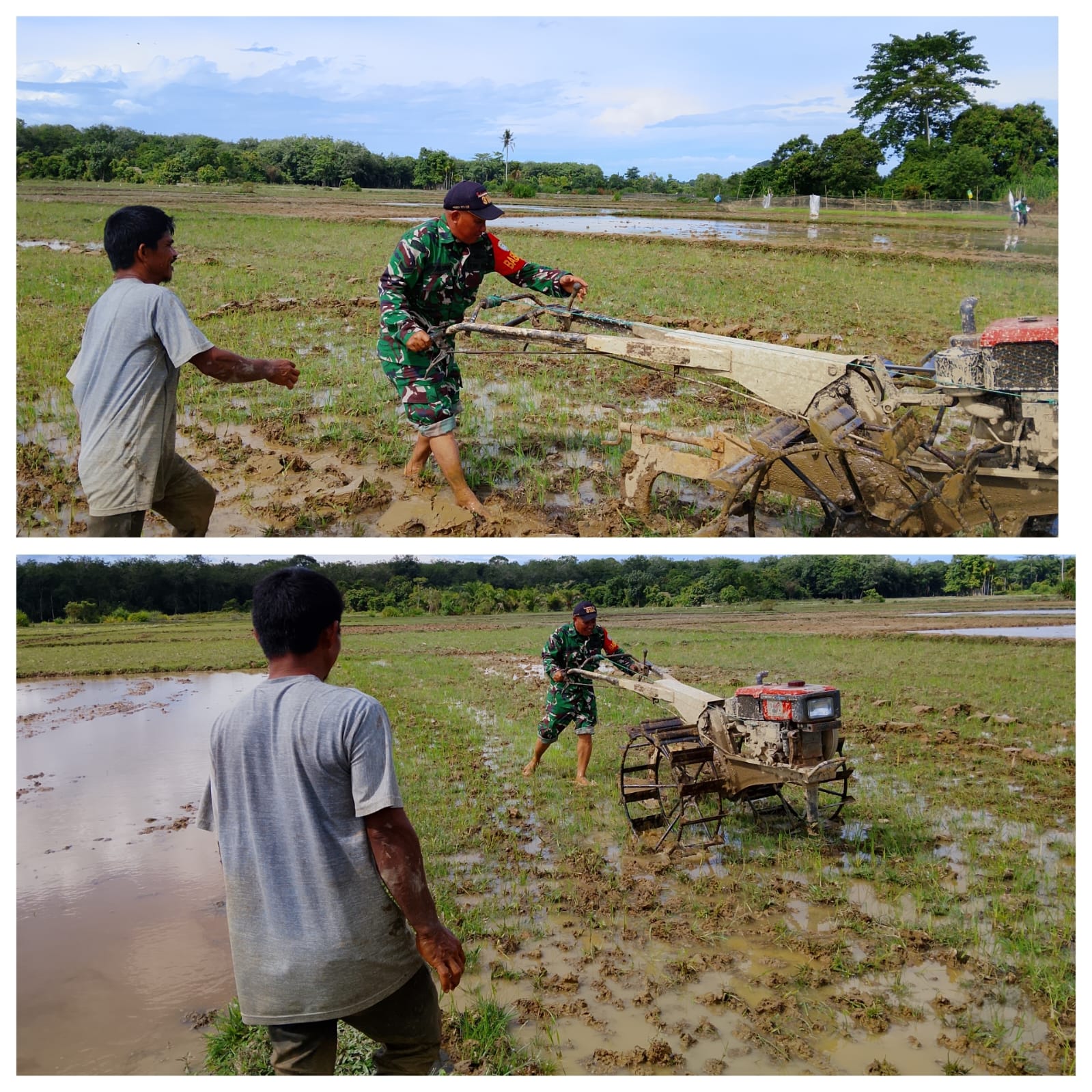 Percepat Masa Tanam, Babinsa Posramil 06 Bubon membantu Petani bajak sawah 