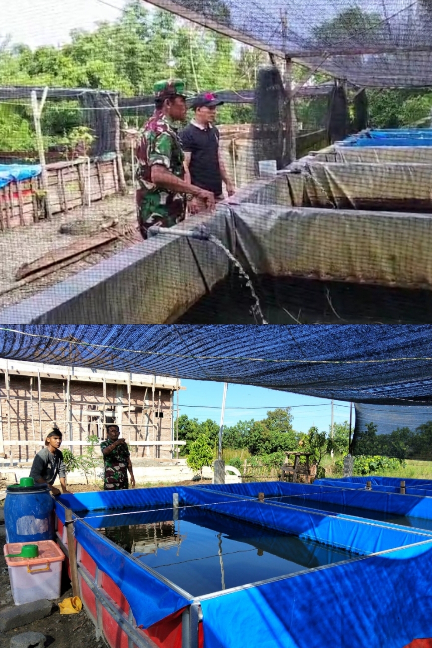 Serda Dasianto Dampingi Pembudidaya Ikan Lele, Wujudkan Kemandirian Pangan dan Sukseskan Program MBG