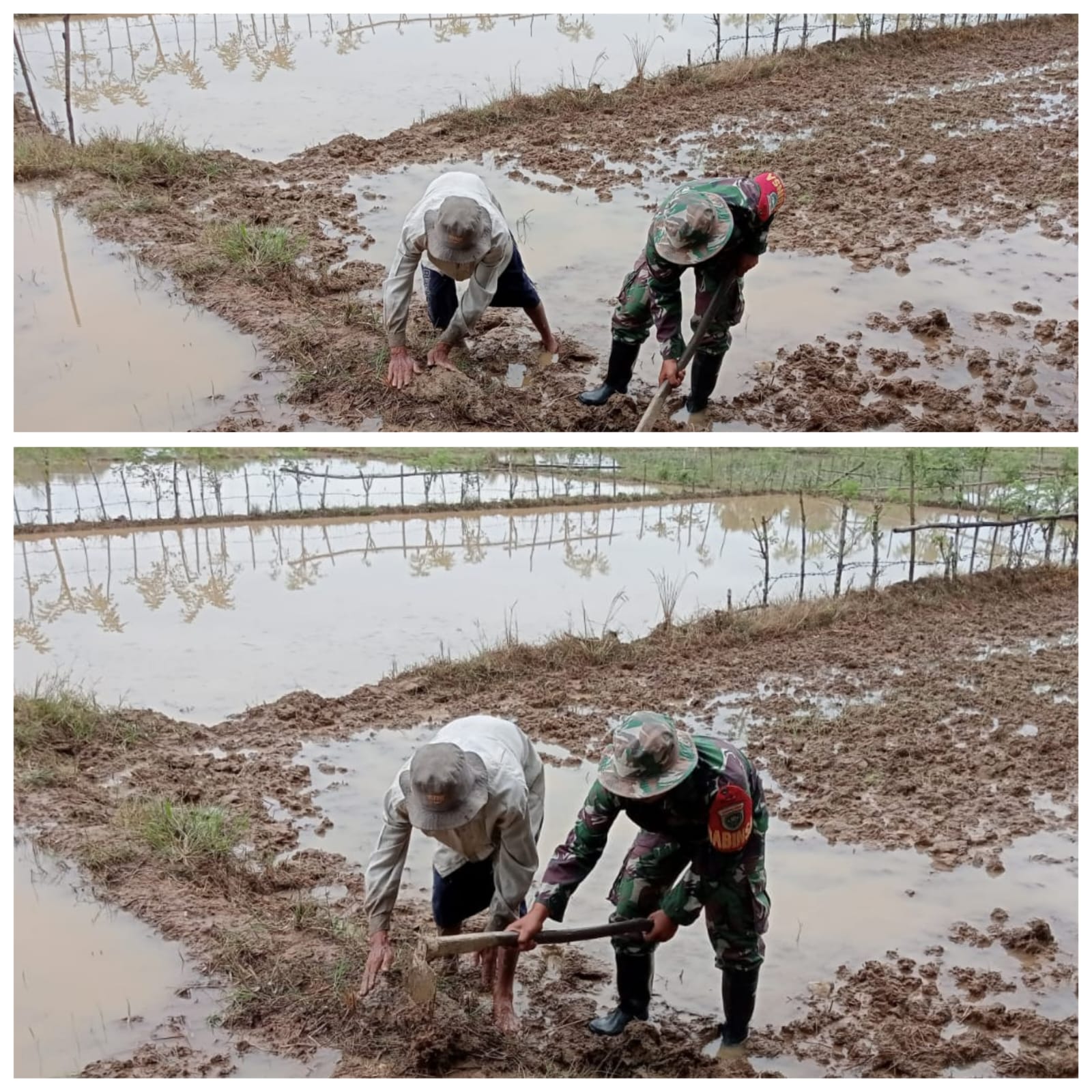 ‎Manfaatkan Musim Hujan, Babinsa Woyla Barat Bantu Petani Siapkan Bedengan Sawah untuk Percepat Tanam Padi