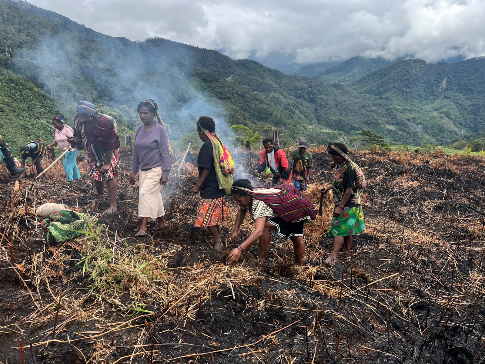 Sinergi Ketahanan Pangan: Satgas Swasembada Yonif 407/Padma Kusuma Bersama Masyarakat Kampung Tinibil Tanam Jagung Bersama