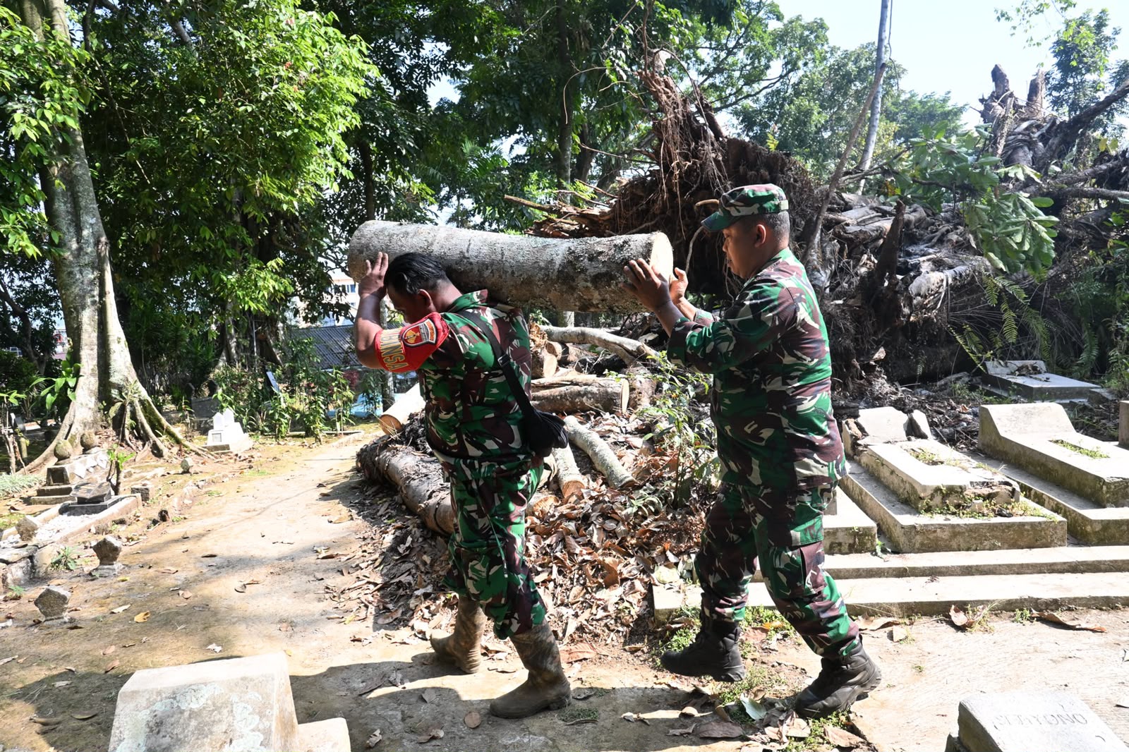 Koramil 01/Wonosobo Bersama Relawan Bersihkan Pohon Tumbang di Makam Honggoderpo, Puluhan Makam Rusak Akibat Tertimpa Beringin Tua