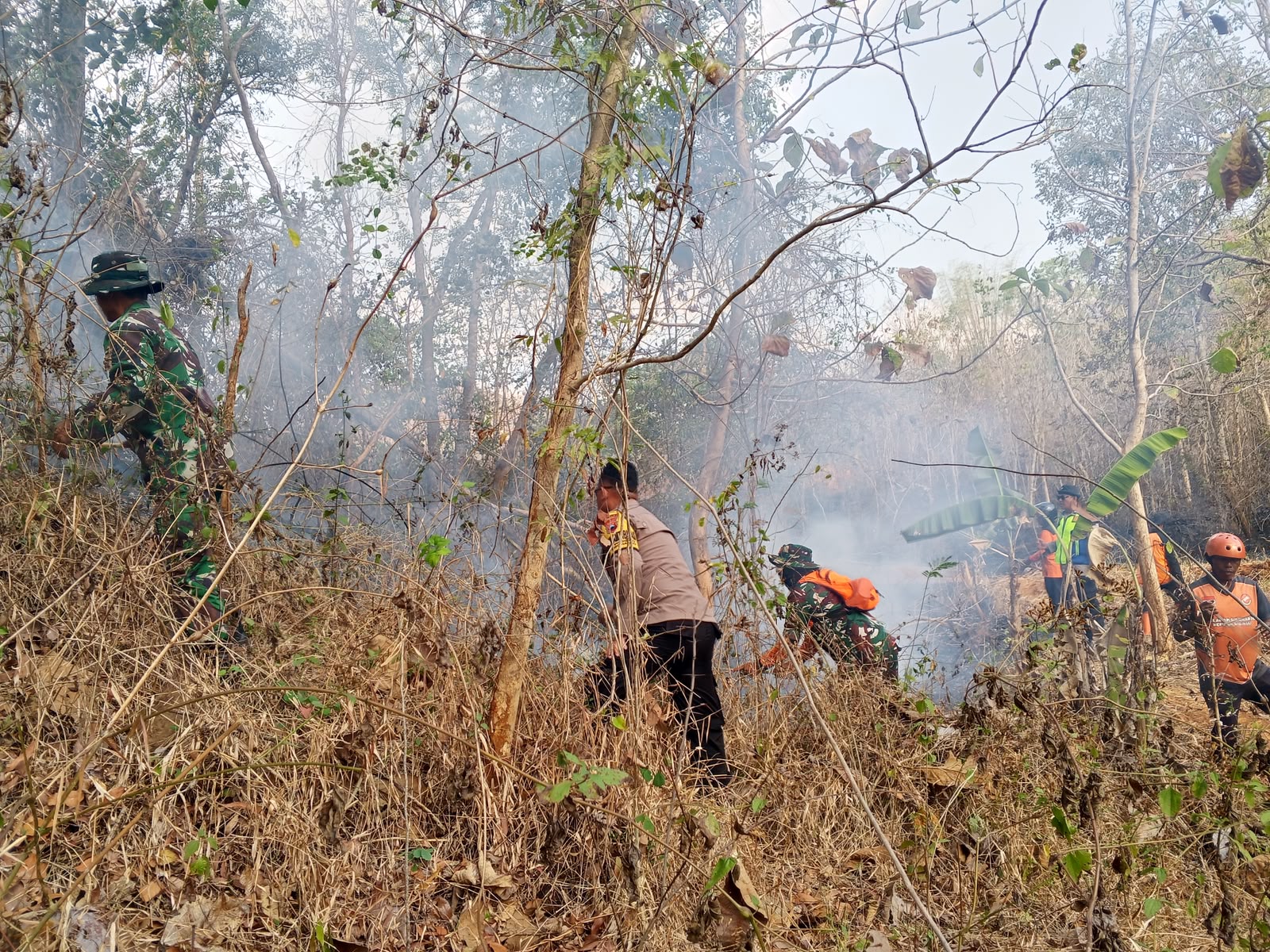 Petugas Gabungan Kembali Padamkan Kebakaran Hutan dan Lahan di Gunung Gajah
