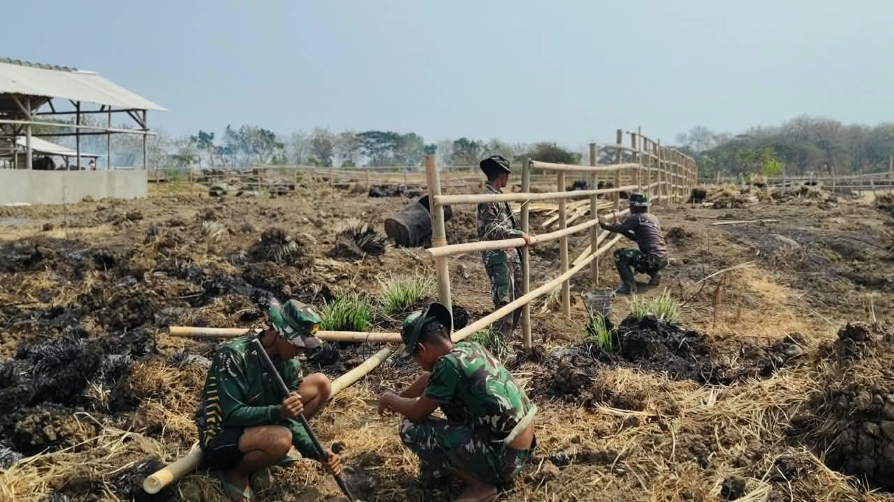 Kodim 0713 Brebes Jaga Produktivitas Lahan Kompi Produksi Saat Musim Kemarau