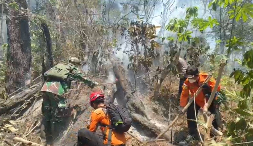 Api Meluas, Pohon Pinus Tumbang! Kodim 0707/Wonosobo bersama Tim Gabungan Padamkan KARHUTLA di Lahan Perhutani Kaliguwo-Kaliwiro dan Kedunggong