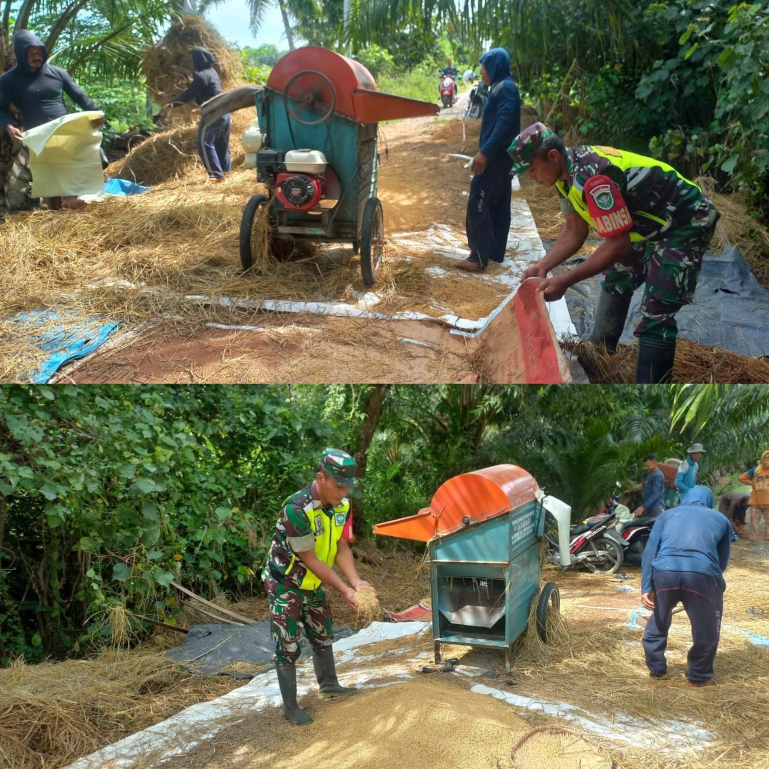 Wujud Kepedulian kepada Petani, Babinsa Posramil 05/Pante Ceureumen Bantu Perontokan Padi